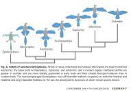 Formation of Hebei Province, China4.