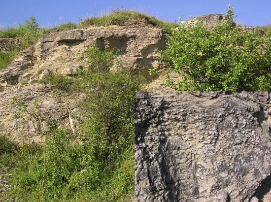 Na obrázkoch vidíte tri lokality v orografických celkoch: Pieniny, Liptovská kotlina a Vysoké Tatry.