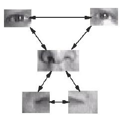 6.2 Spojování detekcí Ke spojení detekcí jednotlivých obličejových rysů do výsledného celku, tedy obličeje, je možné použít různé postupy.