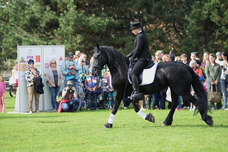 Atraktivními novinkami byla Staf Bull Show, kterou předvedl ostravský Lucky Bull Team pod vedením Daniela Žďárského a výstava miniaturních a ukázky Fríských koní, které předvedla Asociace chovatelů