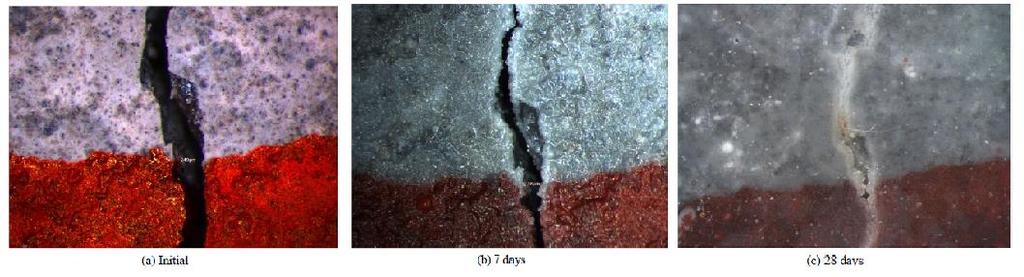 Reakce využívá přítomnosti nezhydratovaných částic cementu, z toho důvodu je samohojení účinnější u mladších betonů. Obrázek 3.