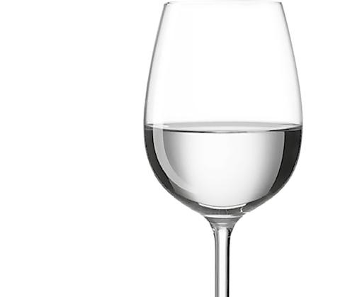 Vážení návštěvníci, přátelé dobrého moravského vína, srdečně Vás vítáme na 25. výstavě vín ve Ždánicích.