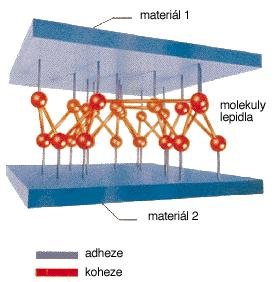 lepidlem a lepeným povrchem: mechanická vazba a chemická vazba, nazývaná také jako specifická. Mechanická vazba (obr. 9) se uplatňuje jen u členitých nebo porézních povrchů.