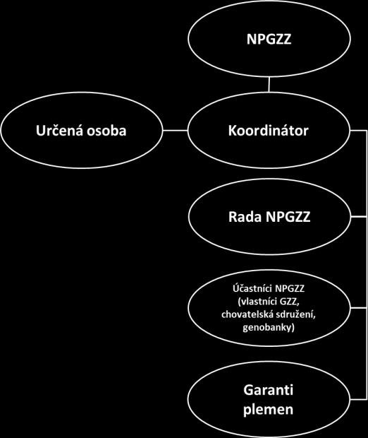 slezský norický kůň 430 českomoravský belgický kůň 534 huculský kůň 285 Drůbež: česká slepice zlatá kropenatá 574 česká husa 217 Králík: moravský modrý 6 český strakáč 6 český luštič 6 Nutrie: