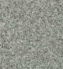 S61029 (R6305)