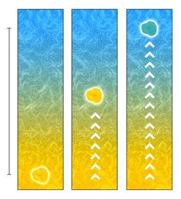 Konvekce ve hvězdách Přehřátá bublina stoupá ve stratifikované látce proti směru gravitace (má menší hustotu, Archimédův zákon) V určitém místě splyne