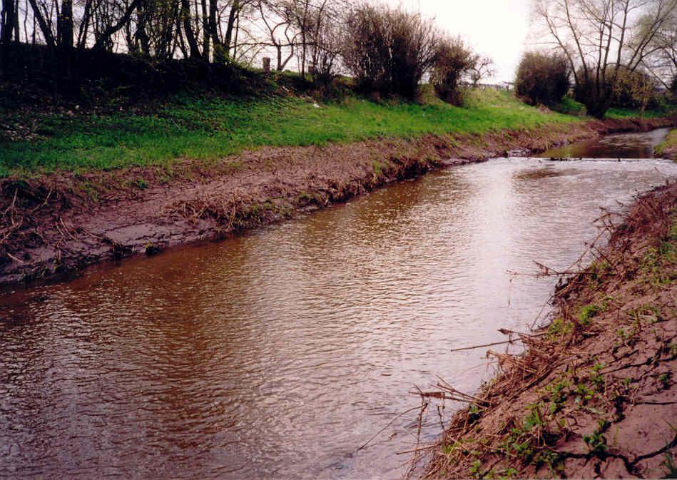Z. Kliment Obr. 13. Akumulace plavenin při okrajích koryta Blšanky. Fig. 13. Sediment accumulation at the channel margins of the Blšanka River.