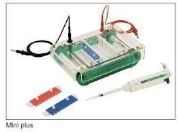 PCR/RT-PCR