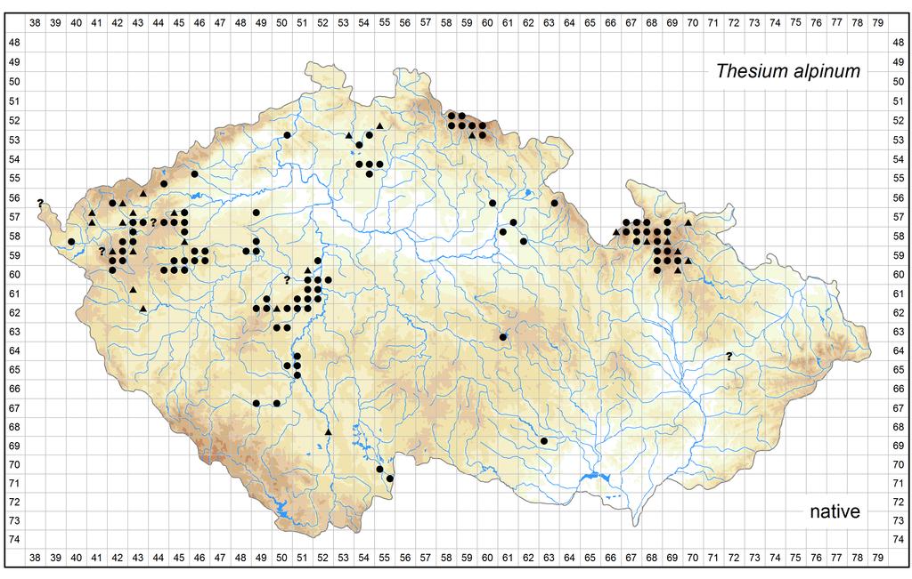 Author of the map: Václav Dvořák, Martin Dančák Map produced on: 06-02-2017 Distribution of Thesium alpinum in the Czech Republic Database records used for producing the distribution map of Thesium