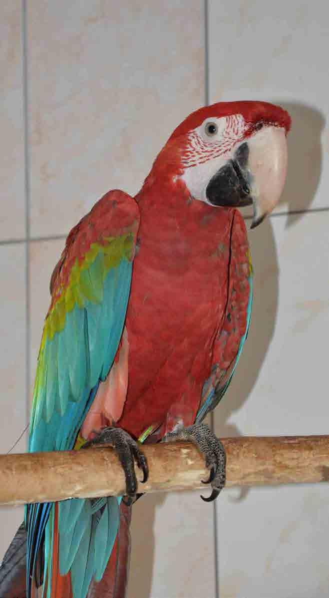 2. Základní údaje o Zoo Tábor Zoologická zahrada TÁBOR, a.s.