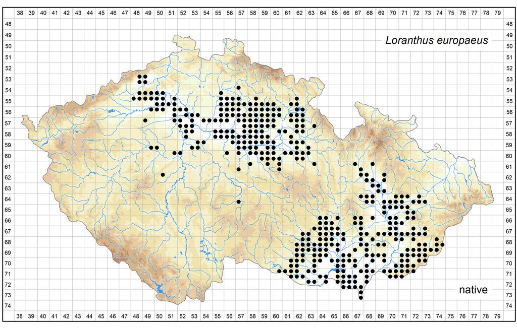 Distribution of Loranthus europaeus in the Czech Republic Author of the map: Karel Kubát Map produced on: 12-06-2018 Database records used for producing the distribution map of Loranthus europaeus