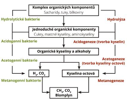 KONZERVACE PÍCE, ANEB KDYŽ DVA DĚLAJÍ SILÁŽ, NENÍ TO TOTÉŽ Konzervace biomasy za účelem výroby bioplynu V poslední době byla věnována velká pozornost využití biomasy a fermentačnímu procesu během