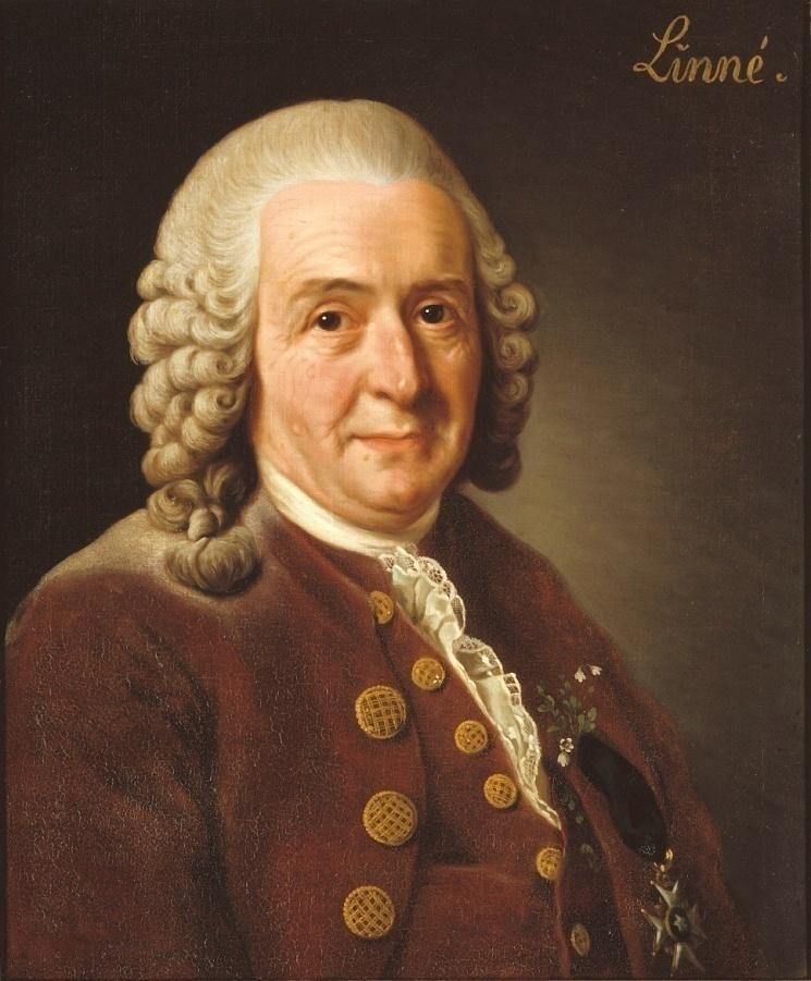 Carl Linné švédský přírodovědec zakladatel zoologické a botanické