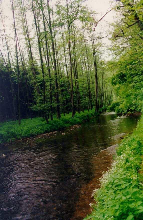 HYDROMETRIE měření hydrologických jevů (monitoring) počítačové (databázové) zpracování vyhodnocení dat Rakovnický potok, foto Matoušková