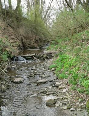 Permokarbonské sedimenty tvoří několik souvrství se zastoupením slepenců, jílovců, prachovců a pískovců. Součástí je i uhelné souvrství se třemi černouhelnými slojemi.