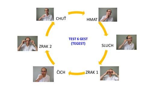 Přednosti testu gest (TEGEST) každý si prožije testování sám a svým stylem
