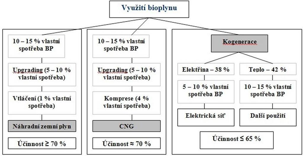 3. Zušlechťování bioplynu 3.2. Využití bioplynu Nejstarší způsob využití bioplynu je ke svícení a dále ke spalování v kotlích za účelem vytápění budov a ohřevu užitkové vody.