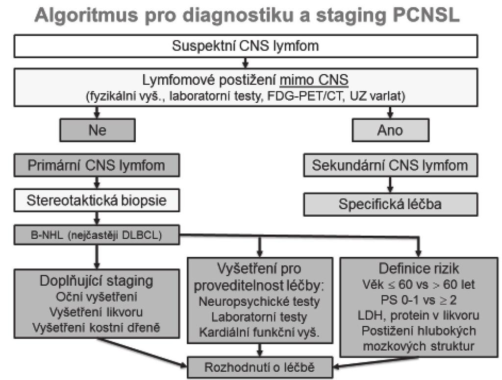 X.2 Primární lymfomy CNS Primární lymfomy centrální nervové soustavy (PCNSL) - ve WHO klasifi kaci je zařazena samostatná jednotka primární difúzní velkobuněčný lymfom CNS.