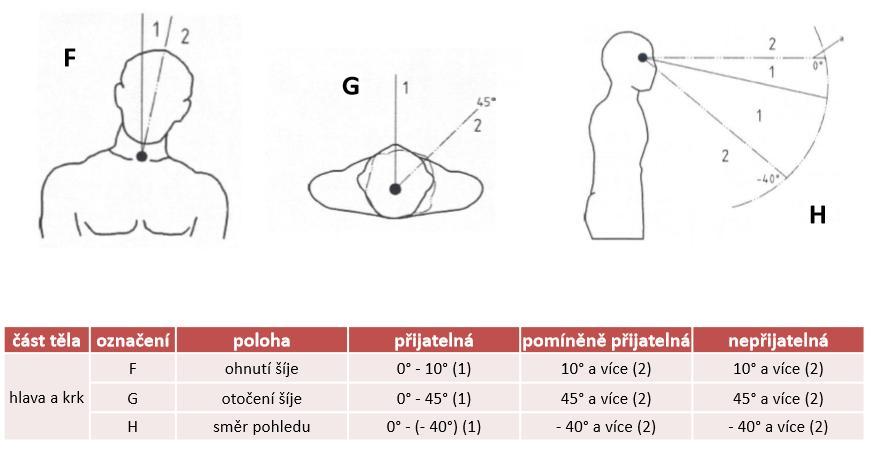 Obrázek 2-4 - optimální pracovní poloha zápěstí Zdroj: [4] Při manipulaci s