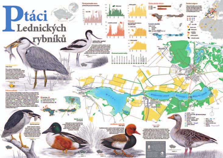 Nástěnná mapa Ptáci lednických rybníků Závěr V uplynulých letech byly na území CHKO Pálava instalovány informační tabule u všech maloplošných zvláště chráněných území, byla vybudována naučná stezka