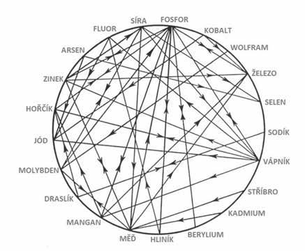 Vzájemné vztahy mezi minerálními živinami jsou velmi složité, přesně jsou znázorněny na minerálním kole.