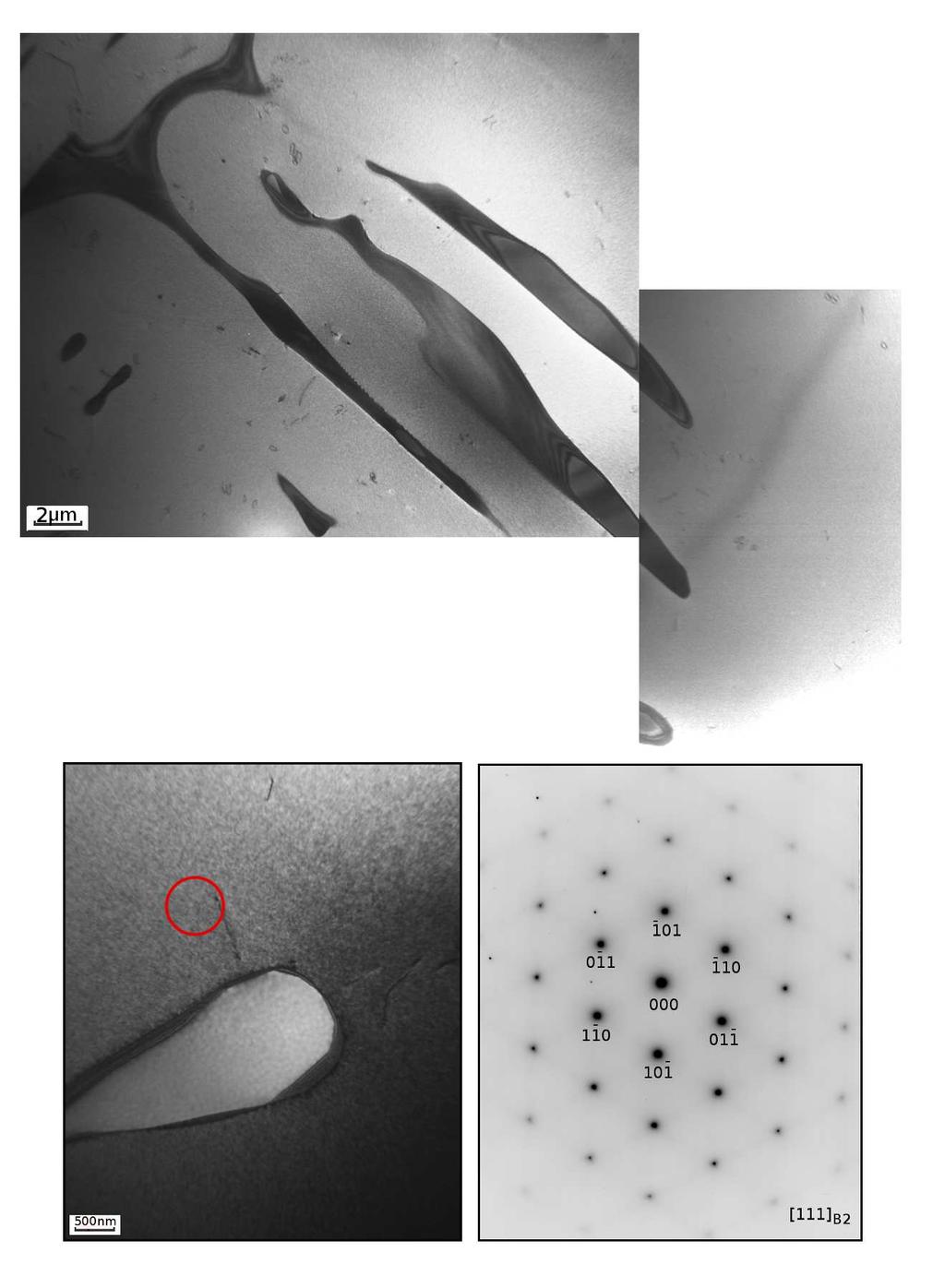 Obrázek 4.11: Mikrostruktura vyžíhané slitiny (vzorek byl odebrán ze středu ingotu).