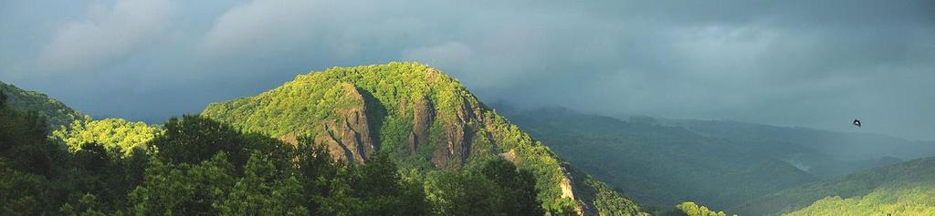 KOZÍ VRCH Obrázek 8-3 Kozí vrch (Foto: Topi Pigula,CC BY 3.0) PR Kozí vrch tvoří skalnatý masiv se strmou skalní stěnou na levém břehu Labe 7 km východně od Ústí nad Labem. Výměra 39,6 ha, nadm.