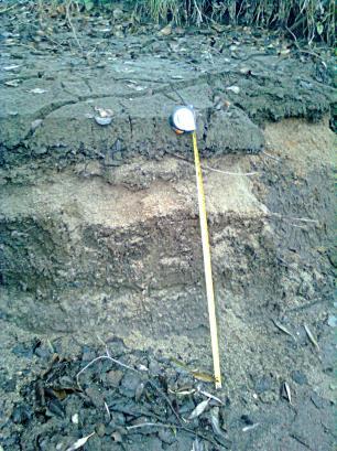 Rybníky 2016 skutečnost velmi často předčí i přísné výpočty. Není výjimkou, že za jedno vegetační období může do nádrže přibýt až 35 cm sedimentu (Obr. 2).