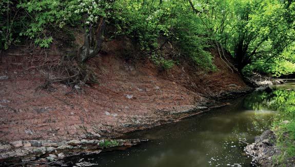 (PS) Přírodní památka Okluky Přirozený výchoz druhohorních vrstev v levém nárazovém břehu potoka Okluky, cca 15 m dlouhý a až 8