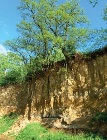 Údolní niva řeky Olšavy spočívá na paleogenních sedimentech račanské jednotky magurského flyše, reprezentovaných vsetínskými vrstvami zlínského souvrství.