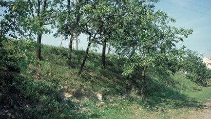(PS) Přírodní památka Pod Husí horou Umělý zářez silnice s geologickým odkryvem, asi 30 m dlouhý a 3 m vysoký.