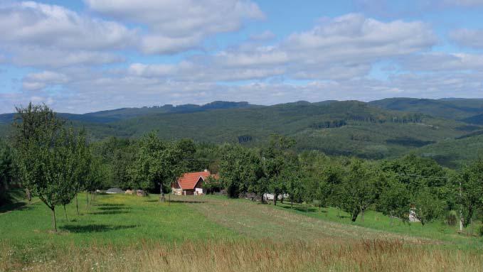 Stříbrnické paseky v Chřibech (JH) systému. Nejstarší hlucké souvrství stáří spodní křídy se vyskytuje pouze v okolí Hluku.
