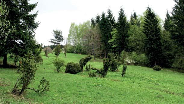 (JP) Přírodní památka Ježůvka Přírodní památka Ježůvka byla vyhlášena již v roce 1956 na ploše 4,99 ha a nachází se na rozhraní katastrálních území Vsetín a Jasenka.