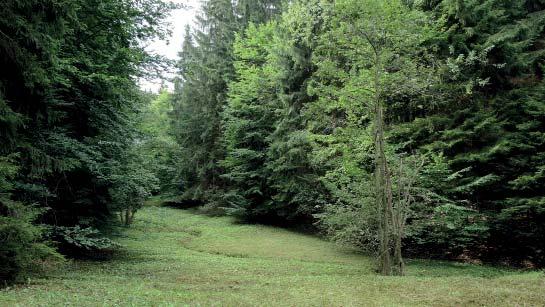 (MŠ) Přírodní památka Lúčky Roveňky Přírodní památka Lúčky Roveňky byla vyhlášena v roce 1999 na ploše 1,51 ha v katastru obce Růžďka.