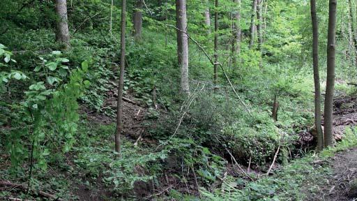 (ZP) Přírodní památka Nad Jasenkou Přírodní památka Nad Jasenkou představuje lesní pěnovcové prameniště.