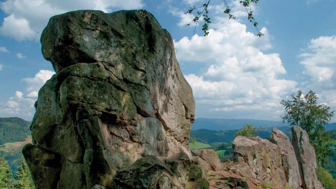 (DL) Přírodní památka Svantovítova skála V katastrálním území Malá Bystřice, kousek od modré turistické značky vedoucí z Dušné k přehradě Bystřička, se nachází přírodní památka Svantovítova skála.