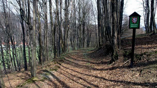 (JP) Přírodní památka U Vaňků V roce 1999 byla v katastru obce Bystřička vyhlášena na ploše 1,38 ha přírodní památka U Vaňků s posláním ochrany listnatého lesa s přirozenou skladbou dřevin a přilehlé