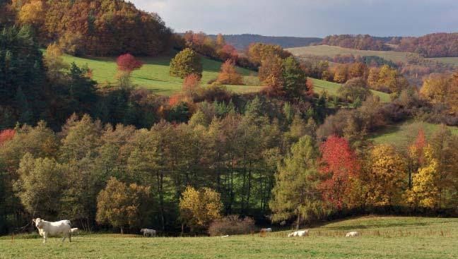 Podzim ve Vizovických vrších (MG) Kelčský Javorník (864,7 m n. m.) jihozápadně od obce Podhradní Lhota. Okraje hornatiny jsou rozřezané hlubokými údolími vodních toků.