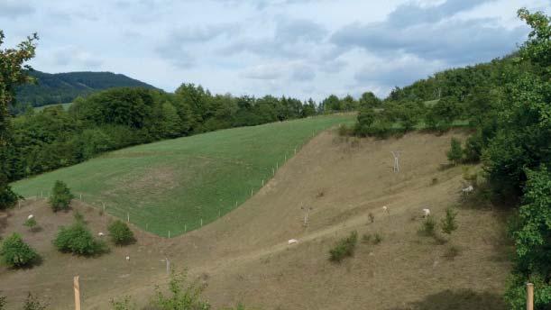 (PP) Přírodní památka Nad Kašavou Přírodní památka Nad Kašavou představuje ovsíkové louky a širokolisté suché trávníky v mozaice s křovinatými mezemi a ovocnými stromy.