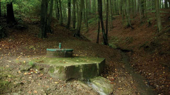 (MG) Přírodní památka Slanice pramen Přírodní památku tvoří minerální pramen v údolí Slanického potoka.