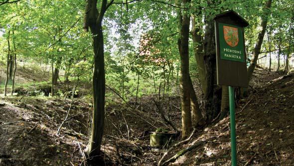 (MG) Přírodní památka Zelené údolí Přírodní památku tvoří minerální pramen, který se nachází mezi Želechovicemi a Provodovem.