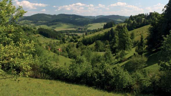 (FJ) Přírodní rezervace Losový Přírodní rezervace Losový představuje zachovalé podhorské pastviny a květnaté louky na svazích s jižní expozicí.