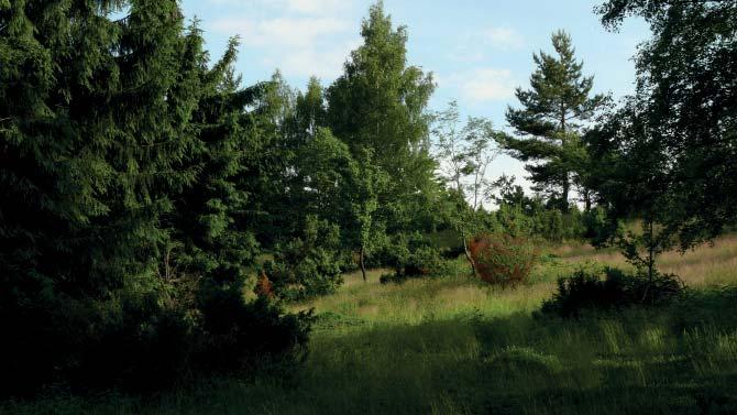 (FJ) Přírodní památka Poskla Přírodní památka Poskla sestává ze 3 samostatných, nepříliš od sebe vzdálených lokalit (Poskla I. až III.). Nachází se ve Vigantické pahorkatině v Rožnovské brázdě v rozpětí nadmořských výšek 495 565 m, přibližně 1 km severně od středu obce Hutisko-Solanec.