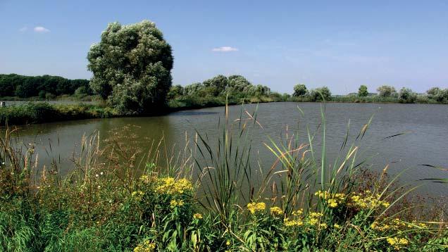 Rybníky u Záhlinic (MG) 355 (Q355) a 364 (Q364) dnů v roce, které byly získány z čar překročení denních průtoků (tabulka hydrologických charakteristik).