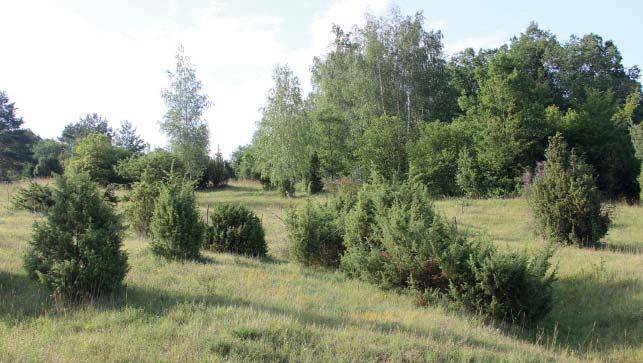 (PP) Přírodní rezervace Drahy Přírodní rezervace Drahy představuje bělokarpatské květnaté louky a pastviny asi 1 km jihovýchodně od obce Horní Němčí, v nadmořské výšce 400 513 m.