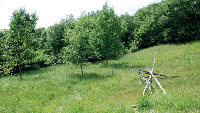 (BJ) Přírodní památka Kalábová Přírodní památka Kalábová reprezentuje zbytek slatinného mokřadu na travertinové kupě s velmi cennou mokřadní vegetací.