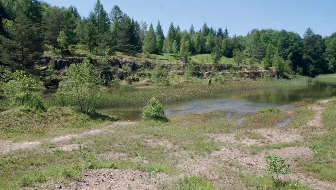 (BJ) Přírodní památka Lom Rasová Pískovcový lom asi 2,5 km jihovýchodně od obce Komňa, v nadmořské výšce 540 570 m, katastrální území Komňa.