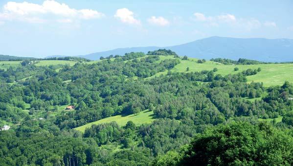 Přírodní rezervace Ve Vlčí Přírodní rezervace Ve Vlčí představuje původní pastviny s rozptýlenými lesíky v členitém terénu, s několika sesuvy a mokřady.