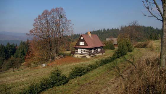 U Bludného v Hostýnských vrších (TS) NPP národní přírodní památka Za národní přírodní památky se vyhlašují přírodní útvary o menší rozloze, především geologický či geomorfologický útvar, naleziště