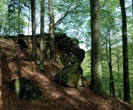 Nachází se v nadmořské výšce 510 637 m, asi 600 m jihozápadně od vrcholu Smrdutá (749,8 m n. m.), 1,5 km západně od rekreačního střediska Na Tesáku a 6,5 km jihovýchodně od Bystřice pod Hostýnem.